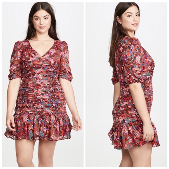 Tanya Taylor Dresses & Skirts - NWT Tanya Taylor Red Pansy Leopard Dress Plus Size